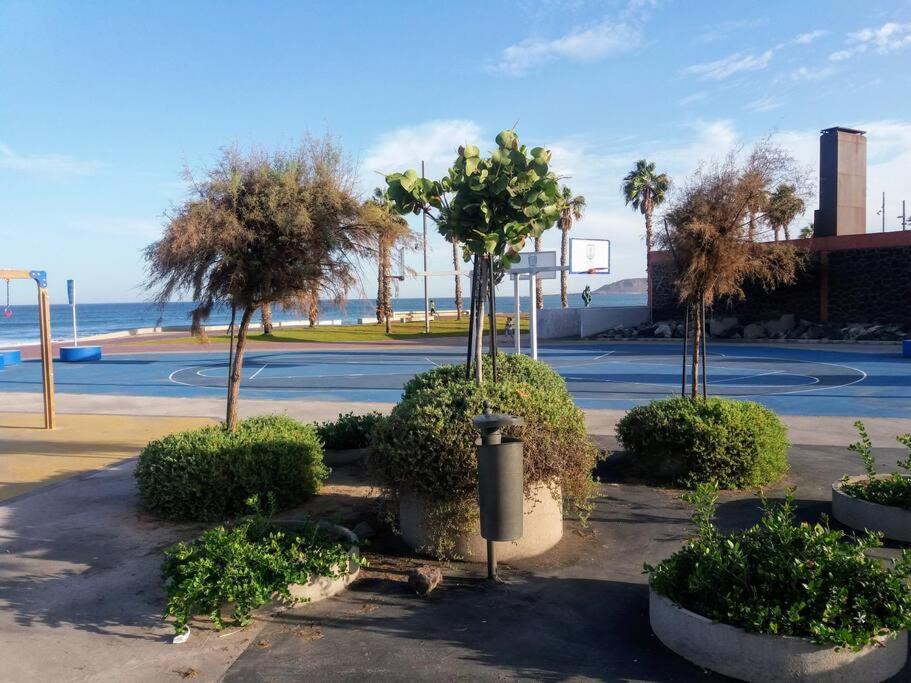 Sunny Apartment Near Las Canteras Beach Las Palmas de Gran Canaria Ngoại thất bức ảnh
